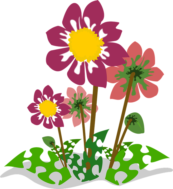 Collection Of Fleur High Quality Free - Natural Flower Plant Png (657x720), Png Download