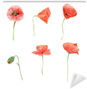 Red Poppy, Watercolor Flower Collection, Floral Hand - Papavero Acquerello (400x400), Png Download