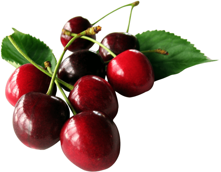 Download Cherry With Leaf Png Image - Cherry Png (500x405), Png Download