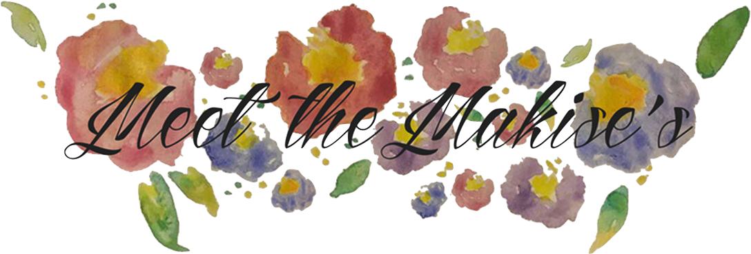 Meet The Makise's - Chocolate Chip Cookie (1100x450), Png Download