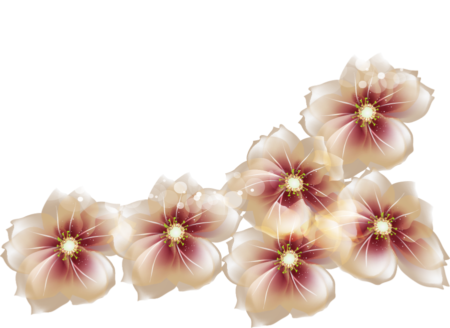 Transparent Image Of Flowers (899x655), Png Download