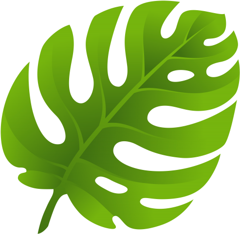 Exotic Leaf Png Clip Art - Leaf Png (500x489), Png Download