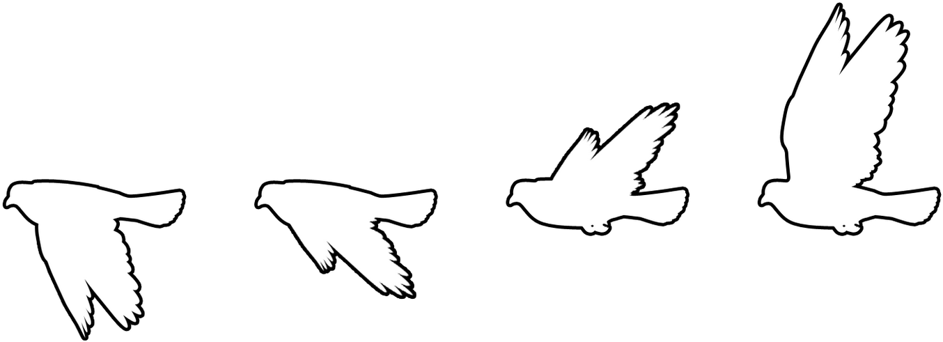 Dove Png Birds Pinterest Sequencepng - White Flying Bird Silhouette (1600x577), Png Download