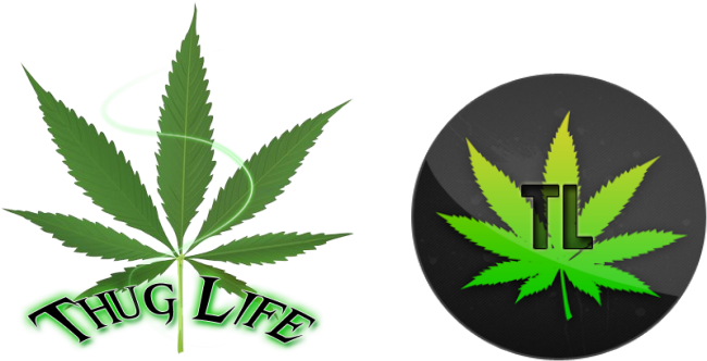 Hoja De Marihuana Vector (676x358), Png Download