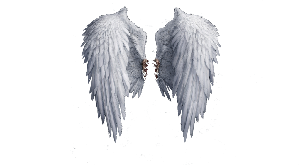 Angel Wings Png Photo - White Angel Wings (1024x576), Png Download