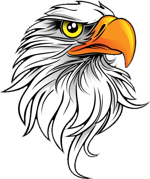 Eagle Save Png - Eagle Head Vector Png (600x590), Png Download