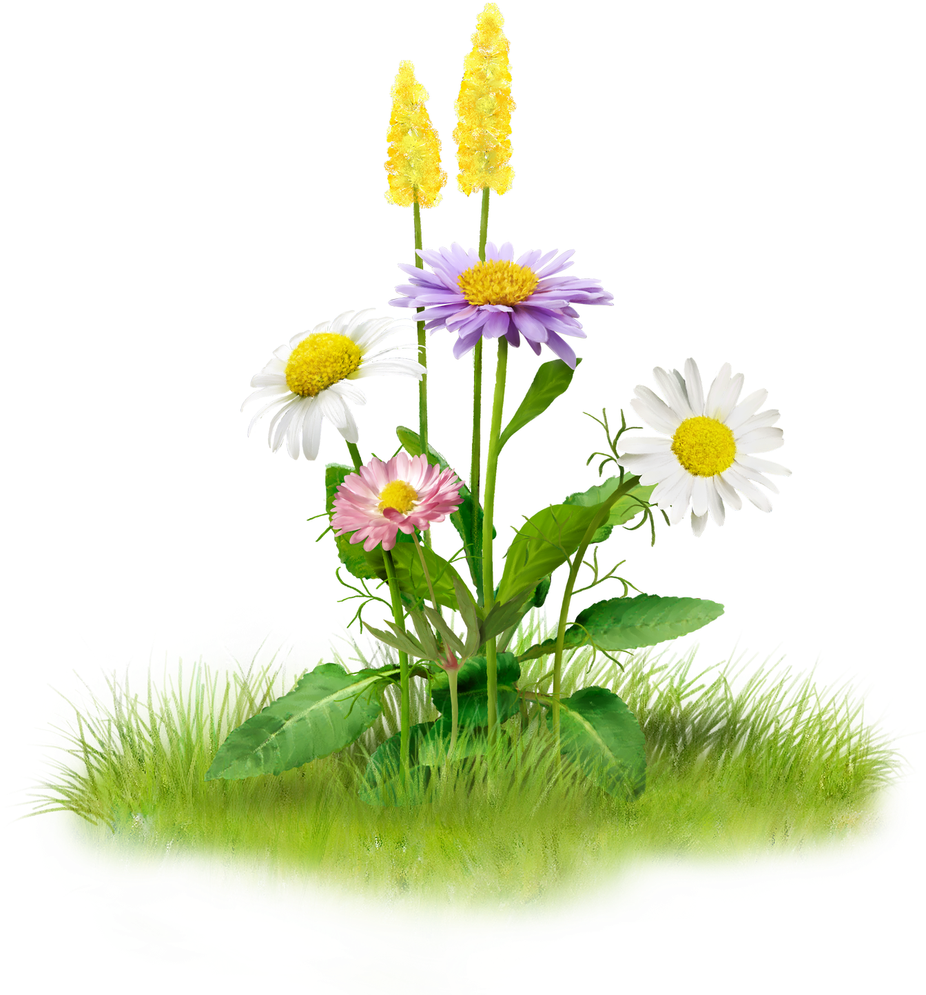 Nature Png Image - Nature Png (1412x1500), Png Download