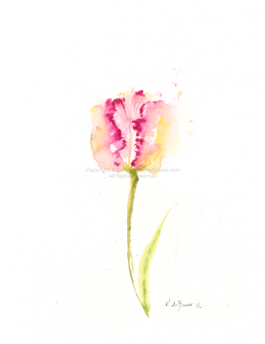 Carnation (380x380), Png Download