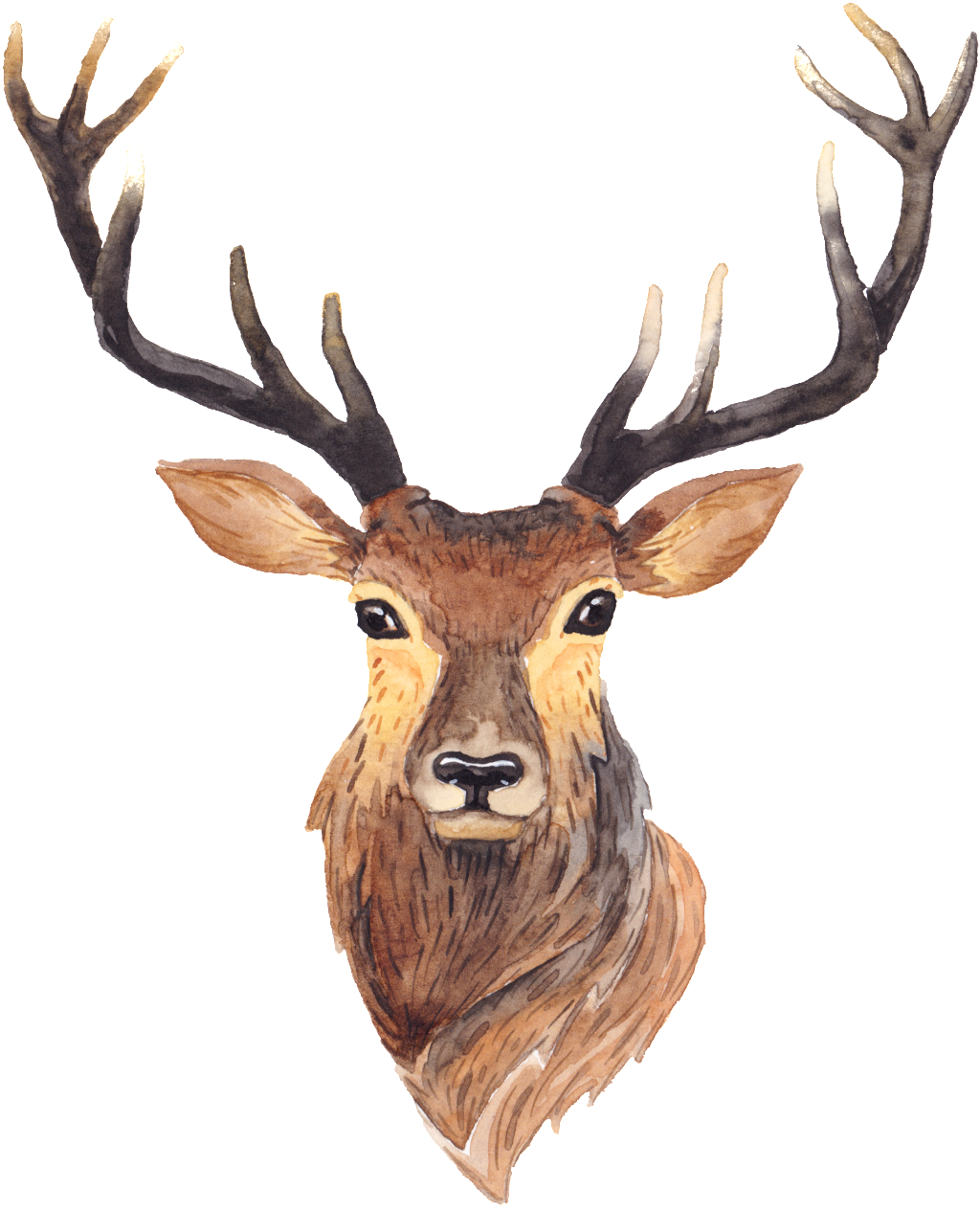 Cartoon Long Horned Deer Transparent Free Buckle Png - Baby Fabric - Deer In Love Pink - Pink Custom Fabric (1024x1283), Png Download