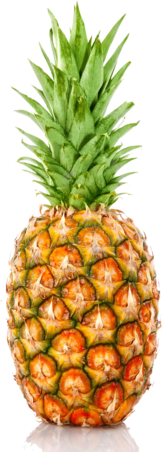 Pineapple Png File - Individual Fruits And Vegetables (1600x1500), Png Download