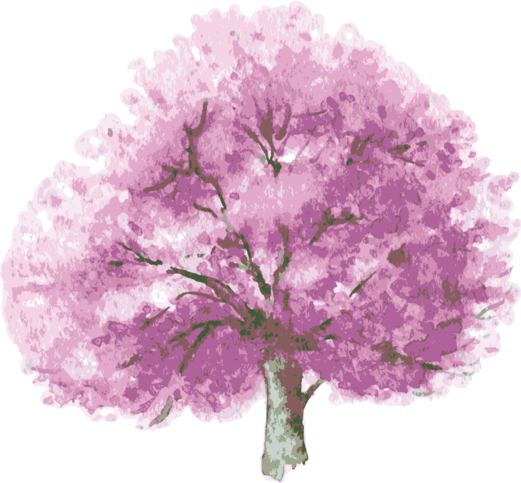 Ftestickers Watercolor Cherryblossom - Vector Graphics (1024x1024), Png Download
