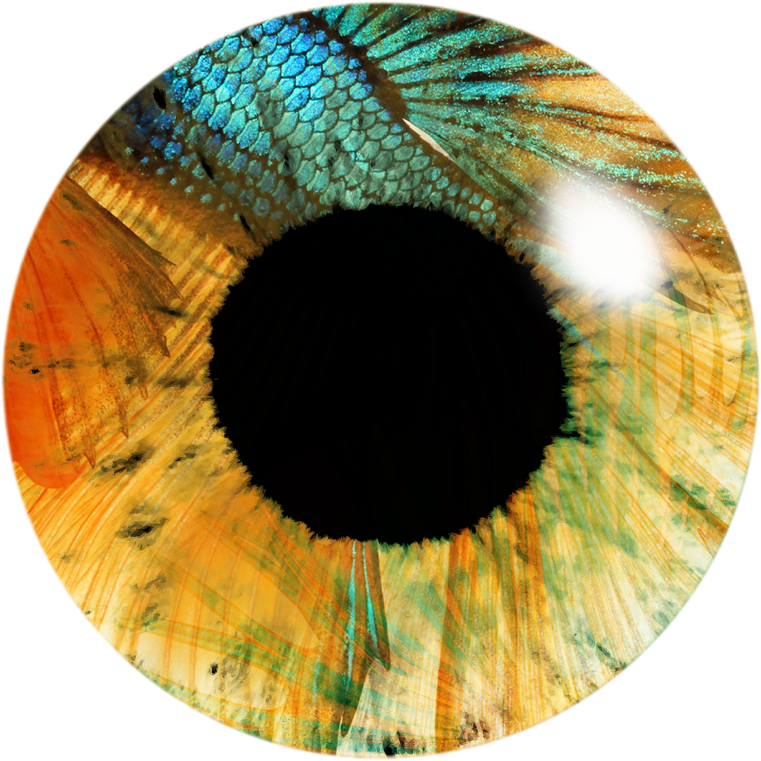 Download Kese Kare Abb Batt Ati Hai Ki Download Kese - Eye (1600x1200), Png Download