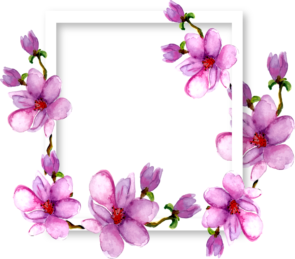 Flowers Magnolia Border Frame Watercolor Purple Ftestic - Transparent Watercolor Png Flower Purple (1000x878), Png Download