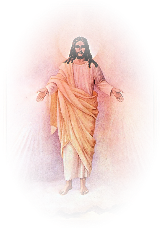 Pin By Gary Kovacik On Jesus Christ - Jesus Divina Misericordia Png (554x788), Png Download