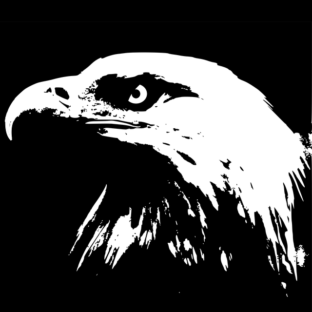 Free Image On Pixabay - Gambar Kepala Elang Hitam Putih (640x640), Png Download