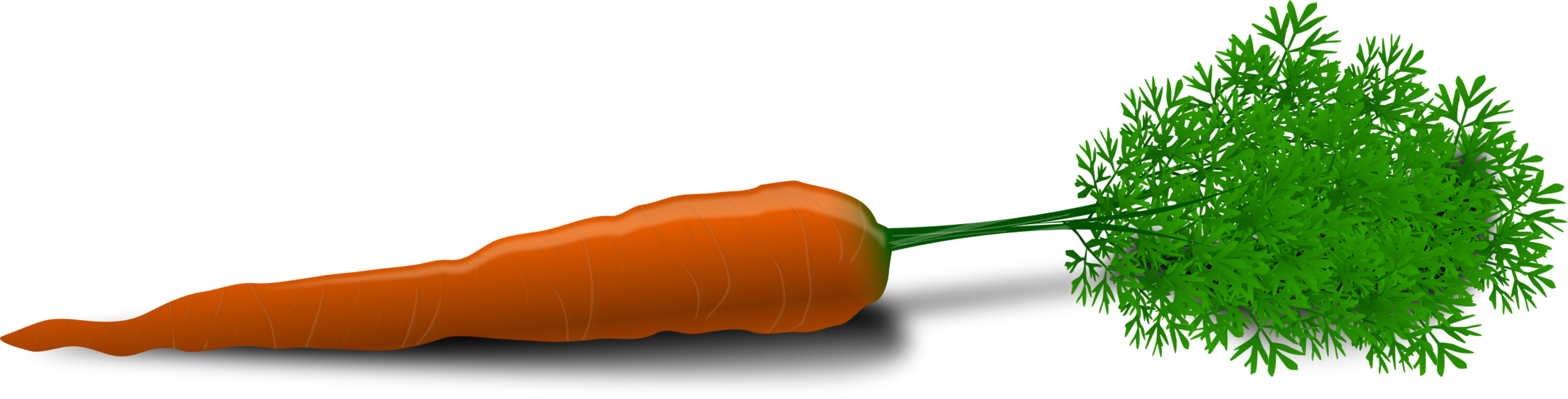 Carrot Root Vegetable Orange Colorful Gree - Carrot Clip Art (680x340), Png Download