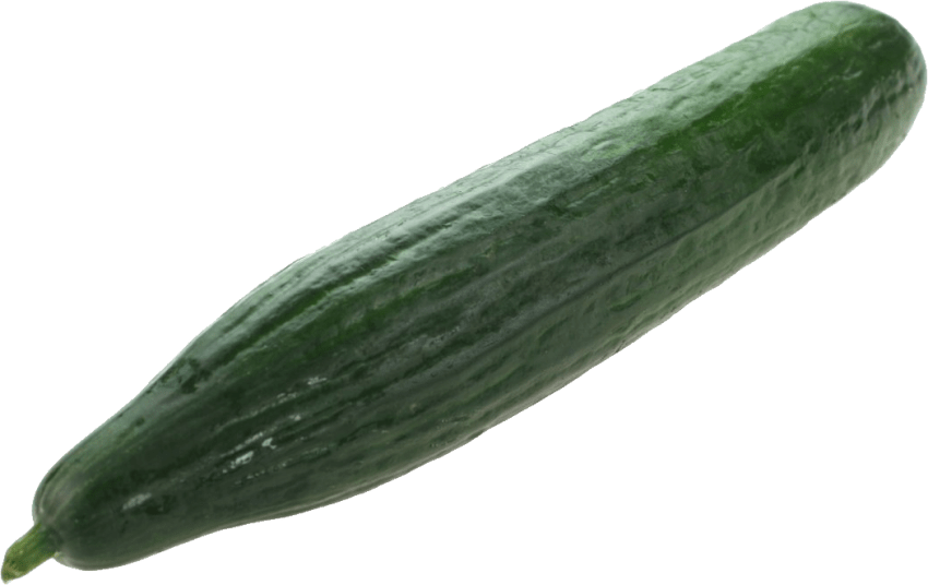 Free Png Cucumber Png Images Transparent - Cucumber (850x536), Png Download