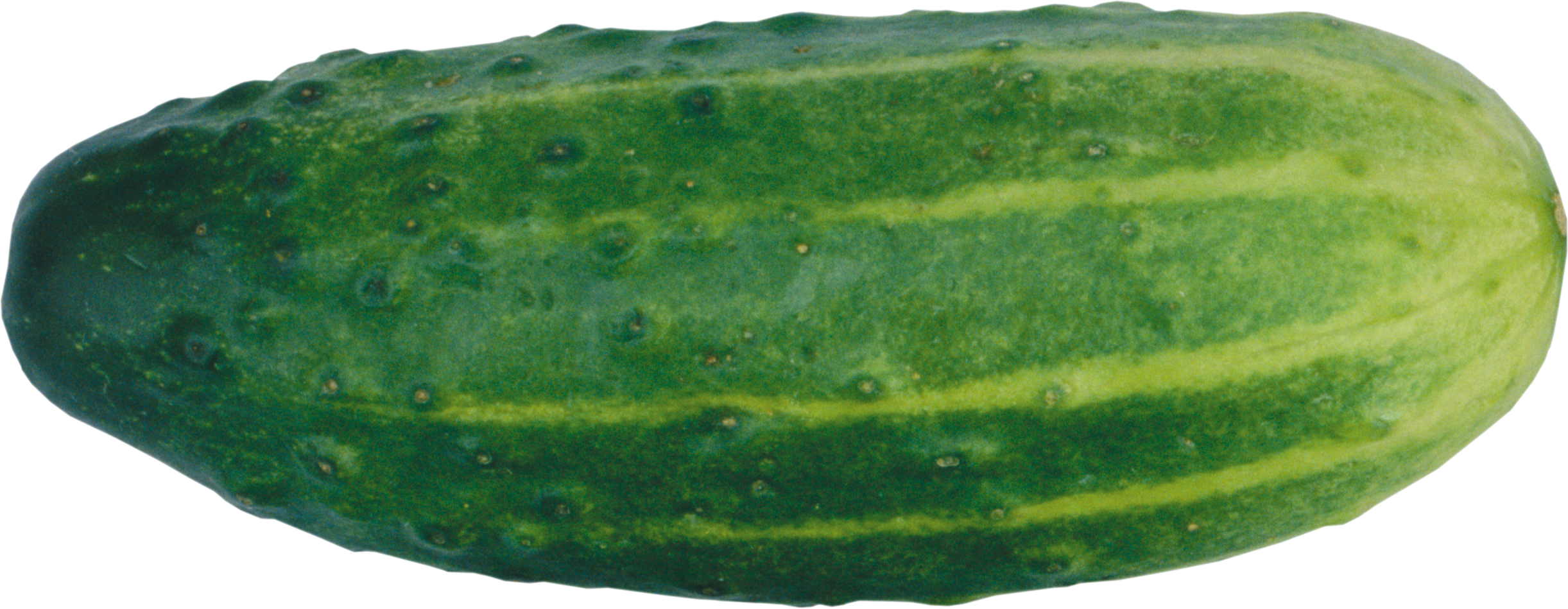 Cucumber Png - Cucumber Png No Background (2443x949), Png Download
