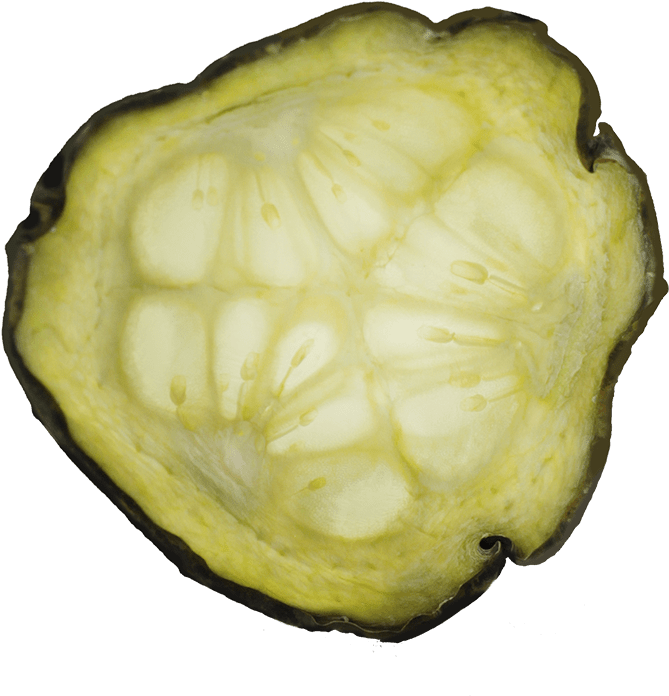 <a Href="/" - Cucumber (1158x1158), Png Download