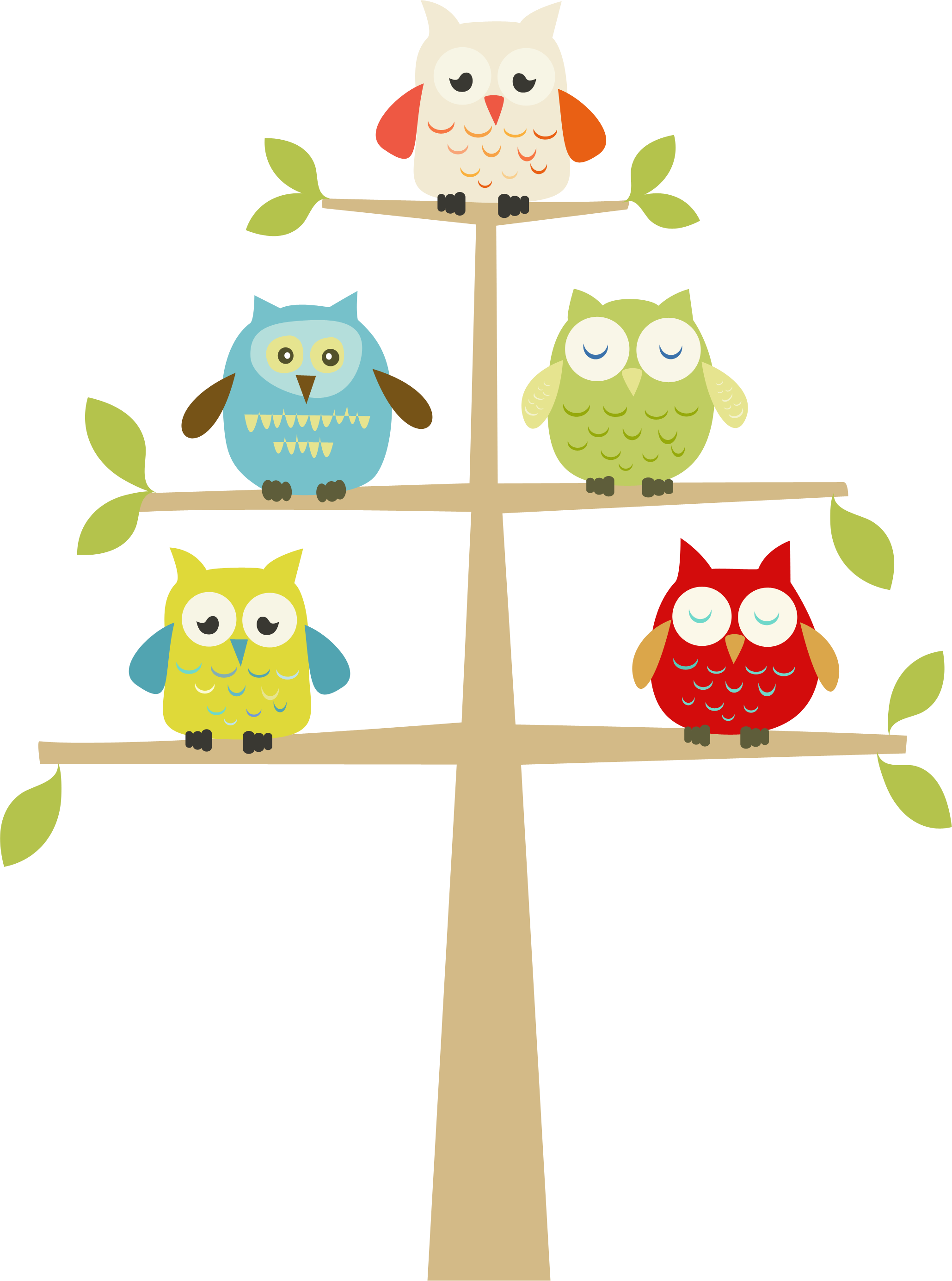 Conclusion &, Affirmation - Baby Owl Clip Art (2059x2769), Png Download