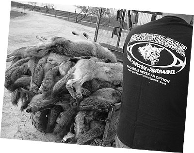 Dirt Hole In Ground Png - Monochrome (400x314), Png Download