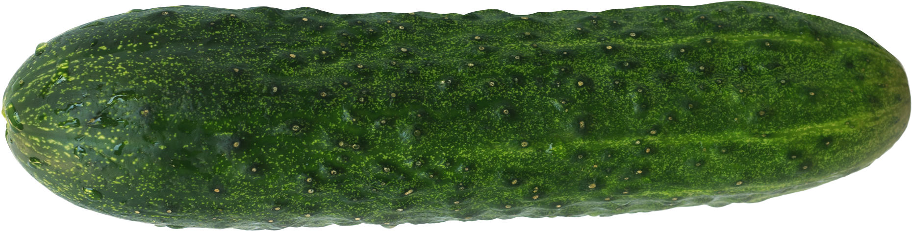 2020 X 736 - Portable Network Graphics (2020x736), Png Download