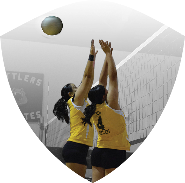 Two Women's Volleyball Players Jumping To Block Ball - Volleyball (800x800), Png Download