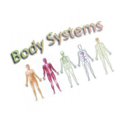 Denetleyici Ve Düzenleyici Sistemler (435x382), Png Download