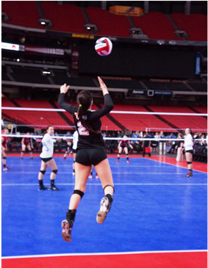 Volleyball (600x380), Png Download