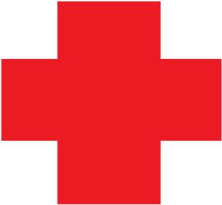 Nursing Computer Icons Nurse Symbol Medicine - Flag (376x340), Png Download