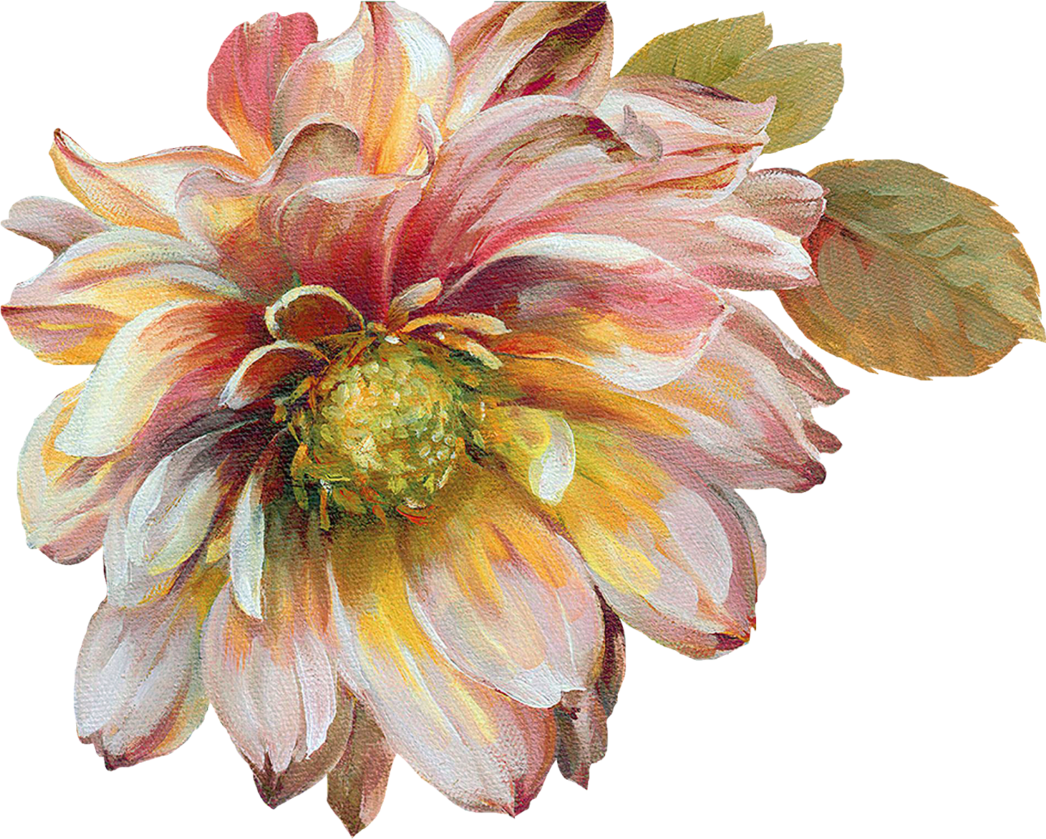 Flower Painting By Lisa Item) - Classically Beautiful Iii Poster Print By Lisa Audit (1600x1245), Png Download