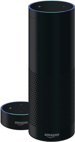 Why Your Alexa Skill Needs A Landing Page - Skill (300x501), Png Download