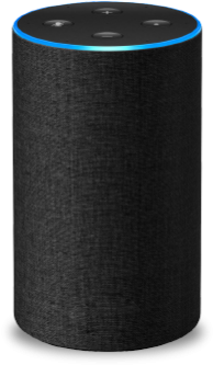 Radios In Amazon (399x339), Png Download