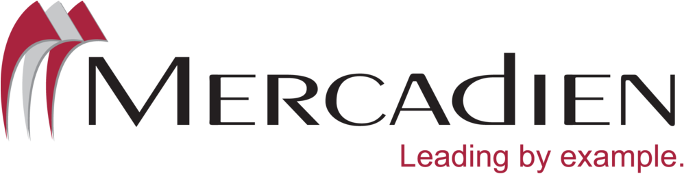 Mercadien - Mercadien Group (1000x276), Png Download