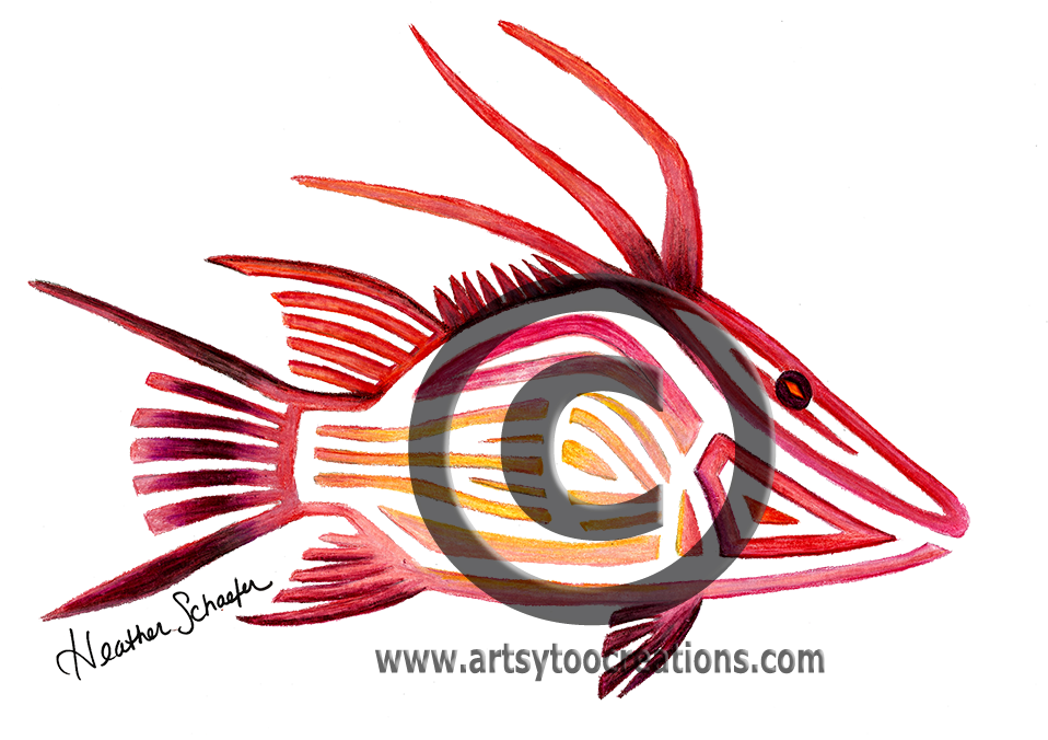 Black And White Library Hogfish Hand Drawn Original - Hogfish Samsung Galaxy S5 Slim Case By Artsytoocreations (1000x694), Png Download