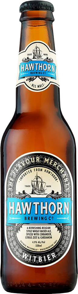 Blank Beer Bottle Png For Kids - Empty Beer Bottle Png (258x963), Png Download