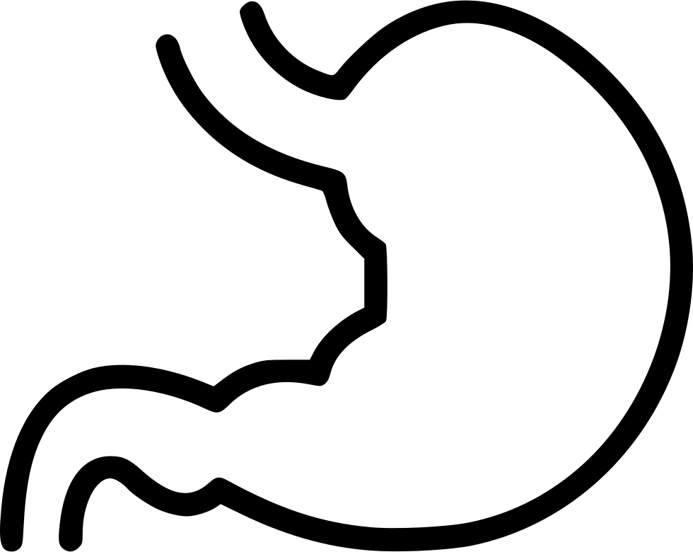Png File - Stomach Black And White Clipart (980x780), Png Download