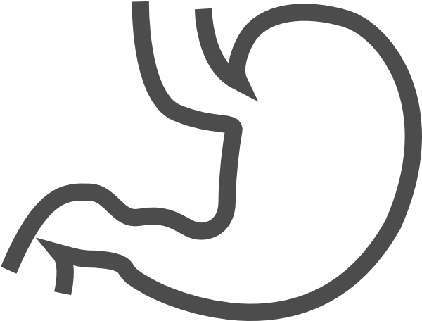 Stomach Clip Art Black And White - Stomach Black And White Clipart (600x456), Png Download