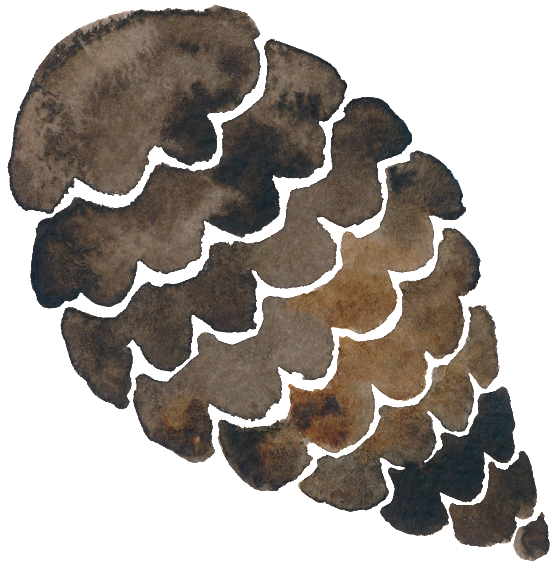 Png De La Tuerca De Pino (1024x1024), Png Download