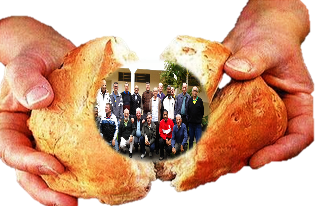 Na Vida Religiosa Consagrada Do Brasil, A Partir Do (1272x824), Png Download