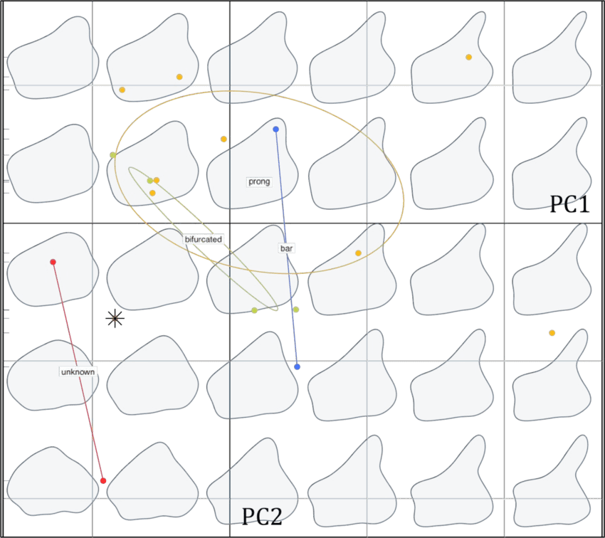 Biplot Of The Pca Performed On The High Quality Stegosaurus (850x756), Png Download