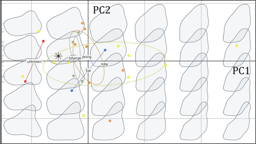 Biplot Of The Pca Performed On Stegosaurus Dorsal Plates (850x479), Png Download