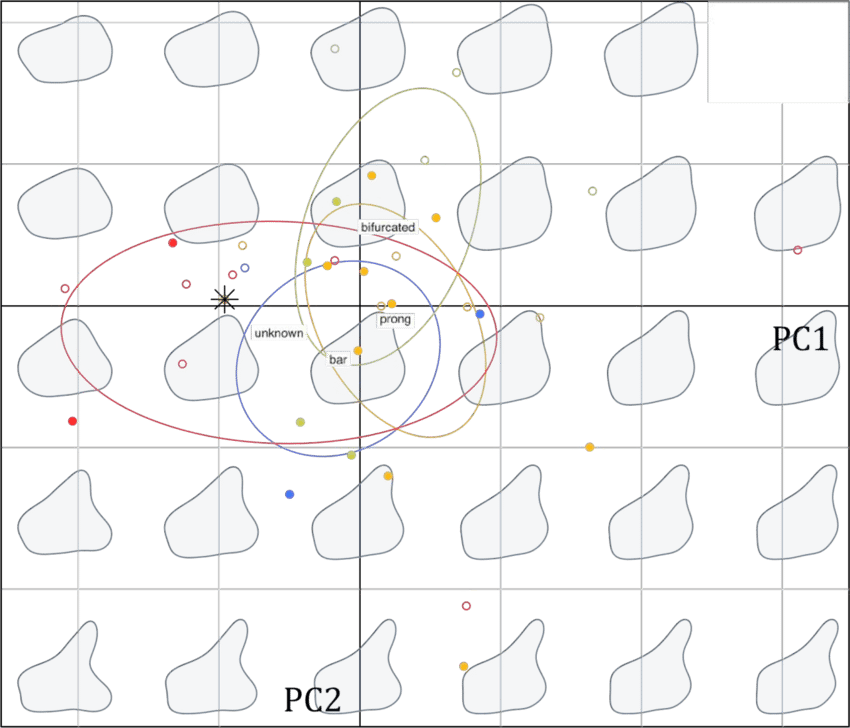 Biplot Of The Pca Performed On Stegosaurus Dorsal Plates, (850x728), Png Download