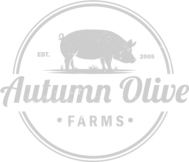 Autumn Olive 4-gray (812x704), Png Download