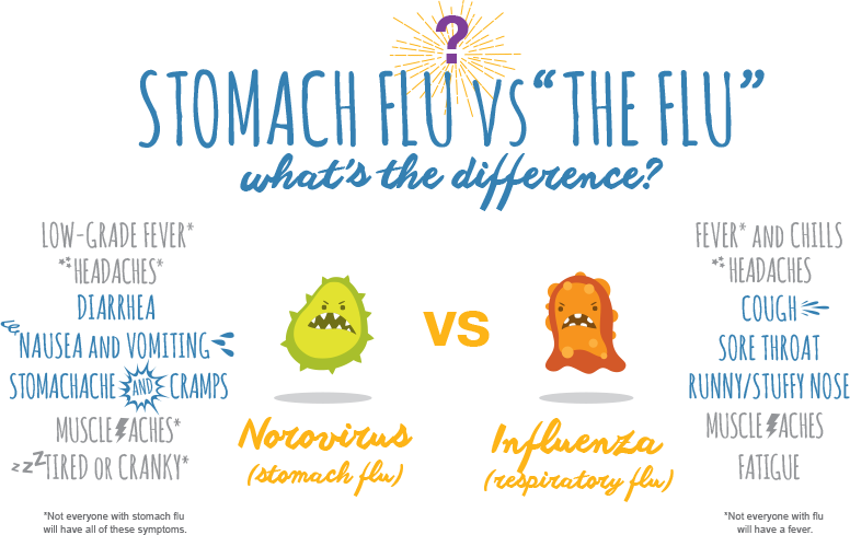 Stomach Flu Vs “the Flu” - Cartoon (776x489), Png Download