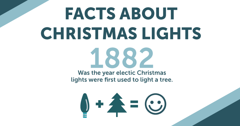 Love Christmas Love Facts Well Then You'll Love This - Christmas 2010 (800x420), Png Download