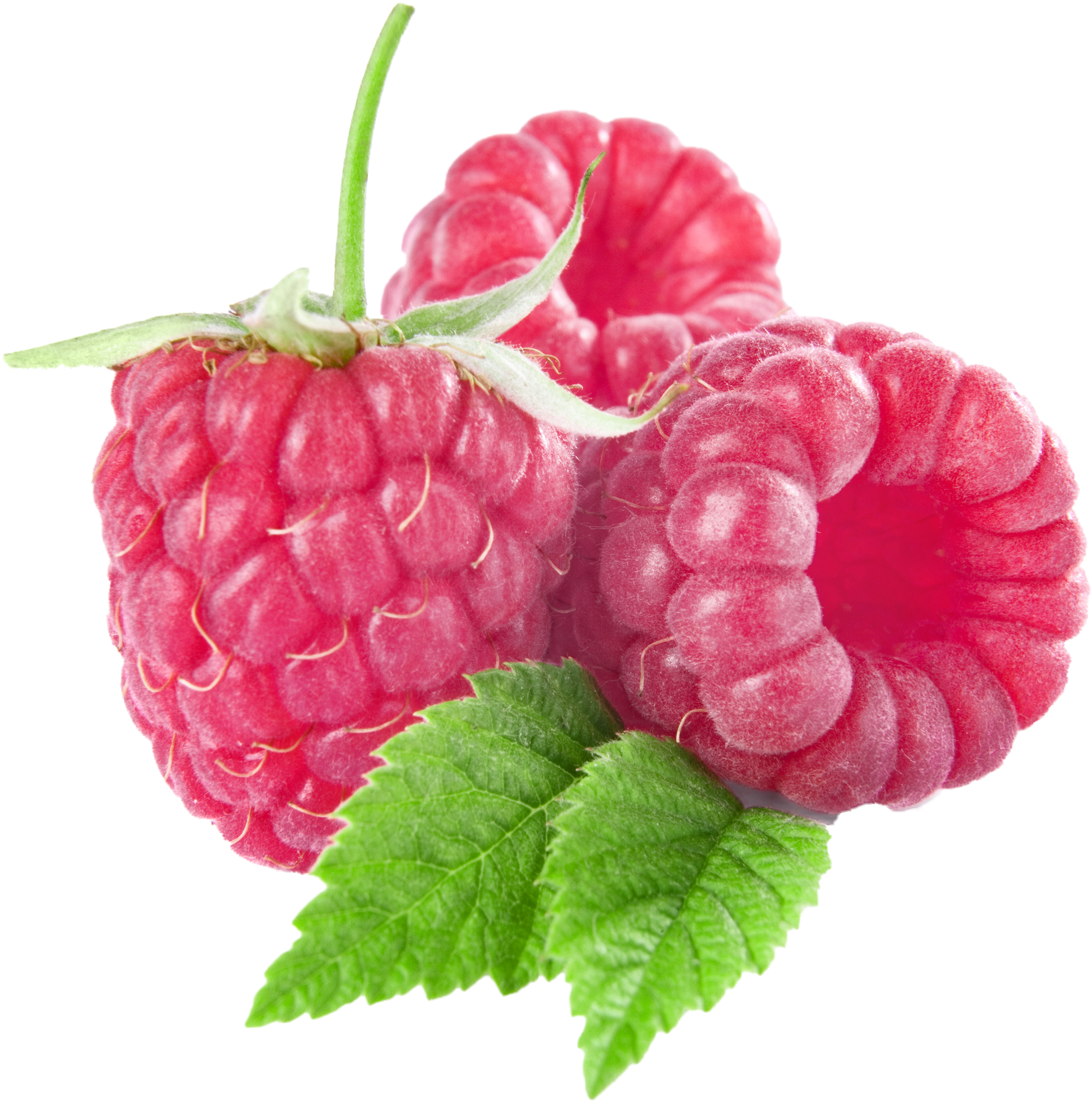 Raspberry Clipart (2500x2507), Png Download