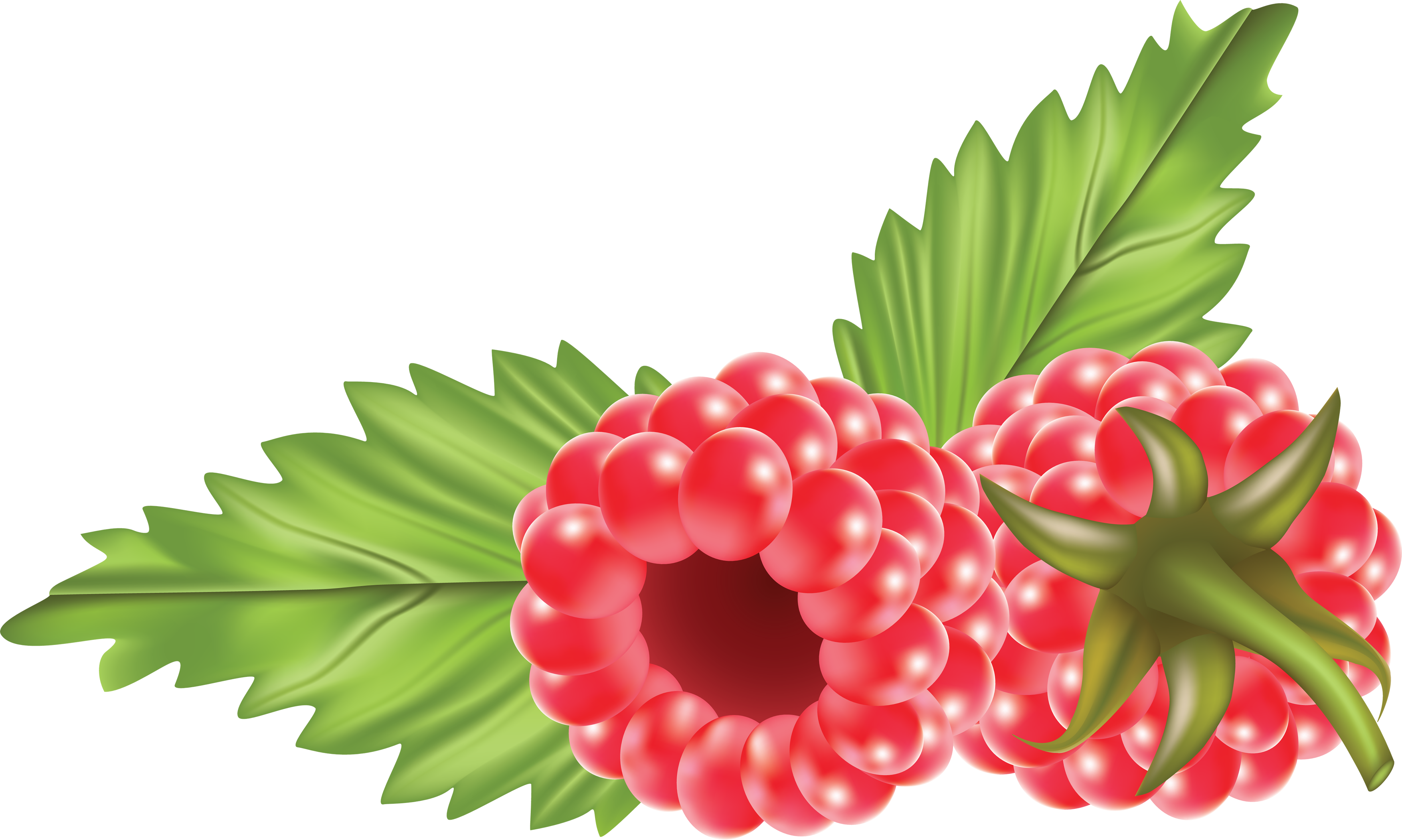Rraspberry Png Image - Raspberry Clipart Png (3513x2106), Png Download