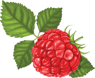 Raspberry Twenty-nine - Raspberry Illustration Png (400x332), Png Download