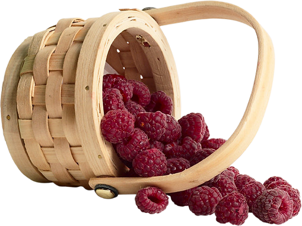 Framboises Png, Tube Fruit - Raspberry (600x450), Png Download